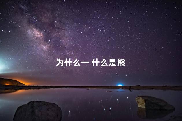 为什么一 什么是熊